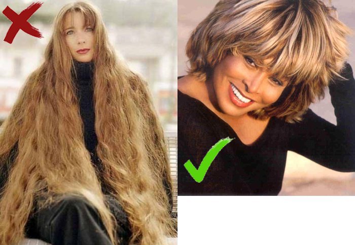Tina Turner Hairstyle